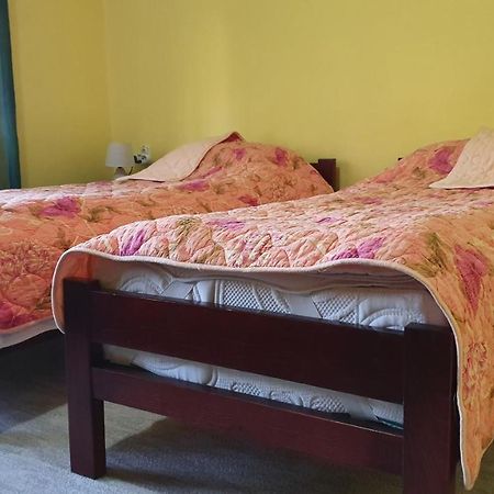 Apartment Roxana Centar Νόβι Σαντ Εξωτερικό φωτογραφία