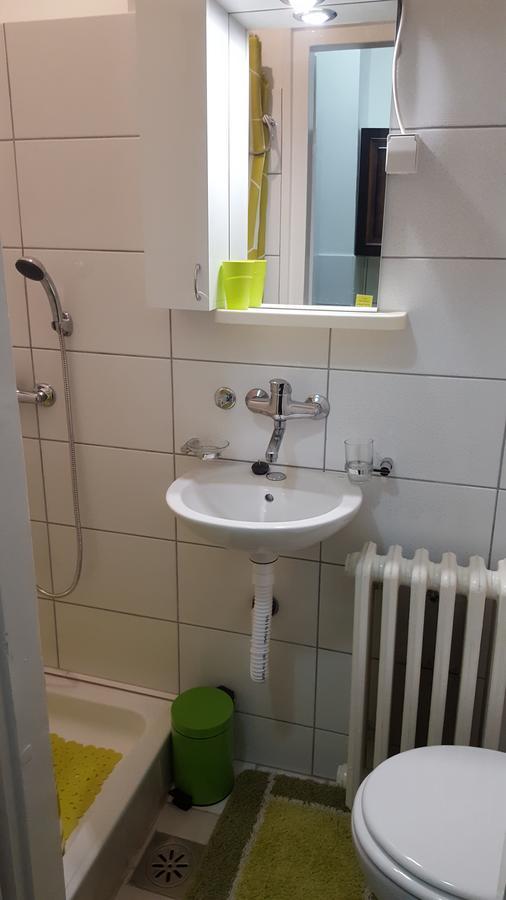 Apartment Roxana Centar Νόβι Σαντ Εξωτερικό φωτογραφία