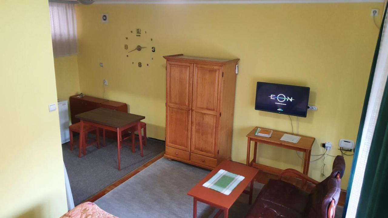 Apartment Roxana Centar Νόβι Σαντ Εξωτερικό φωτογραφία